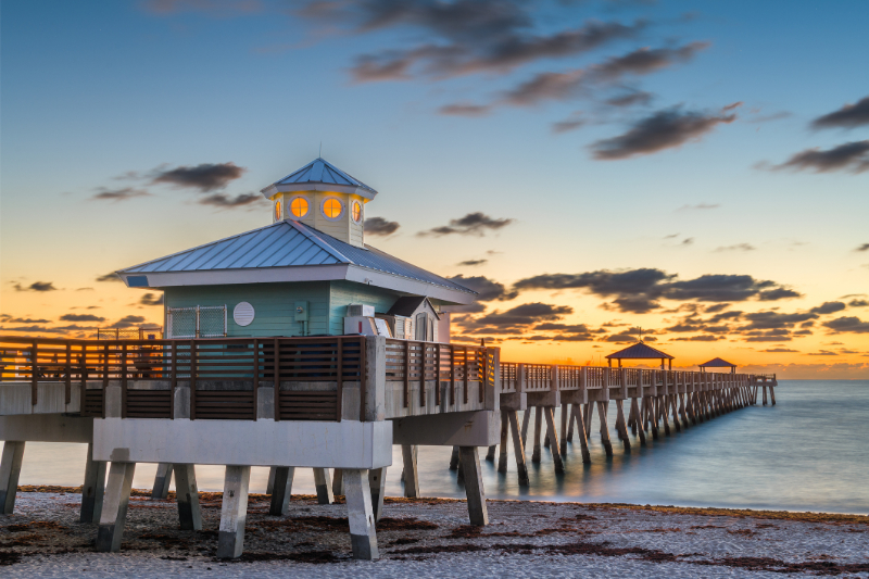 Juno Beach - Kendra Todd